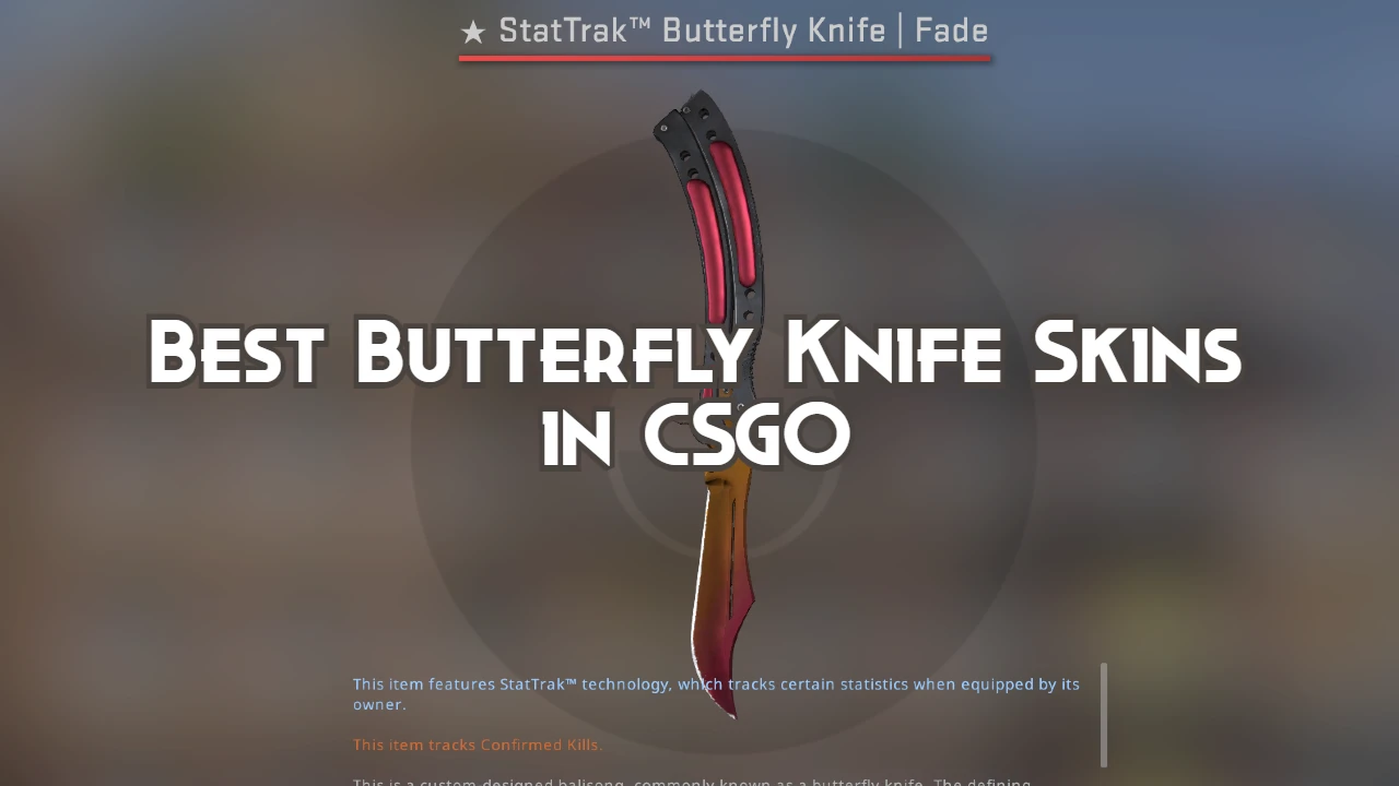 Best Butterfly Knife Skins in CSGO Playing History